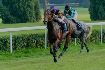 Horse Racing Betting Tips Daily Updates